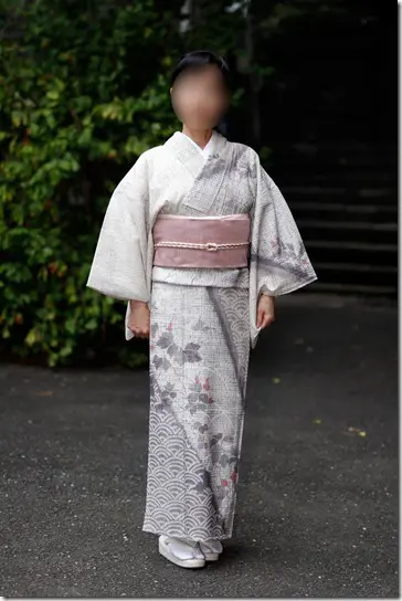 桜柄の訪問着をおしゃれ着として楽しむ ～桜柄の着物はいつ着れ